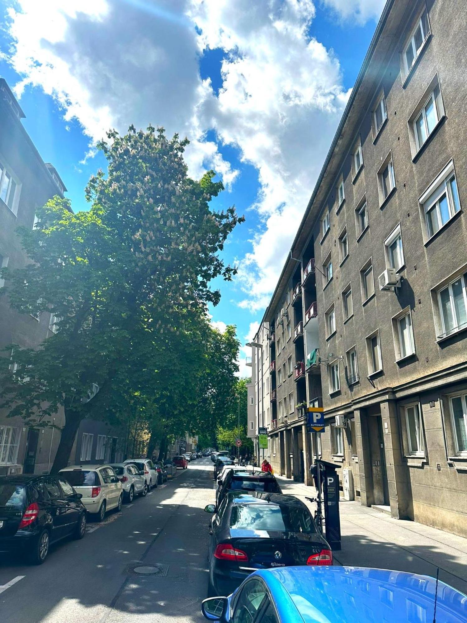 Apartment Helen - Old Town, Ac 布拉迪斯拉发 外观 照片